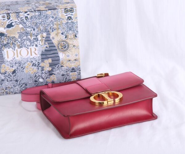 Dior Montaigne Gradient Color Bag - Pink - Image 3