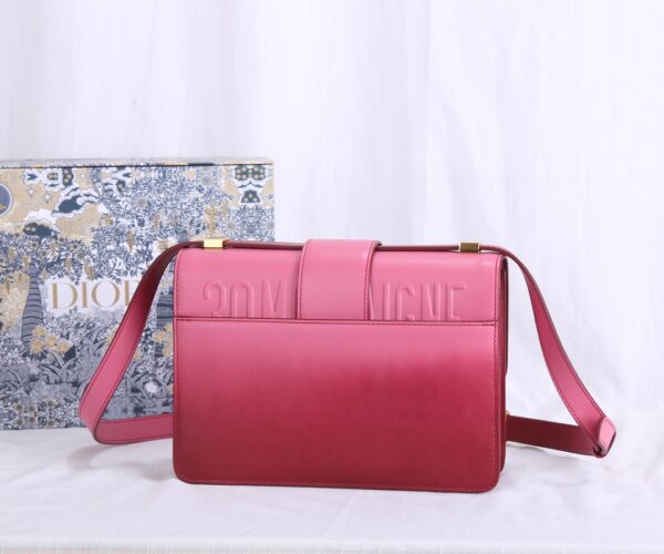 Dior Montaigne Gradient Color Bag - Pink - Image 5