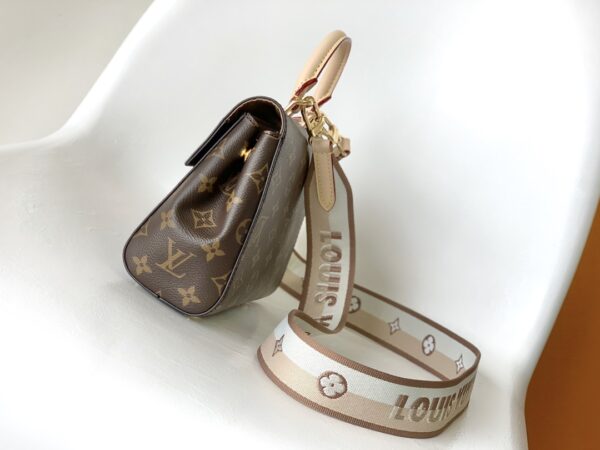 Louis Vuitton Monogram Cluny BB Handbag - Skin - Image 2