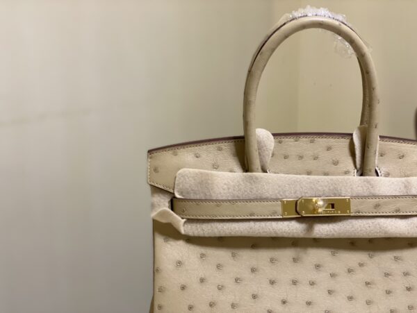 Hermes Ostrich Skin Hand Bag - Skin - Image 2