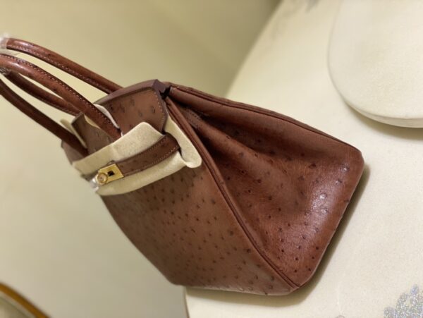 Hermes Ostrich Skin Hand Bag - Maroon - Image 4
