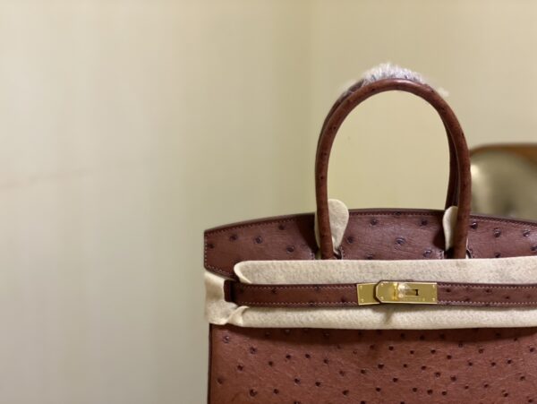 Hermes Ostrich Skin Hand Bag - Maroon - Image 5