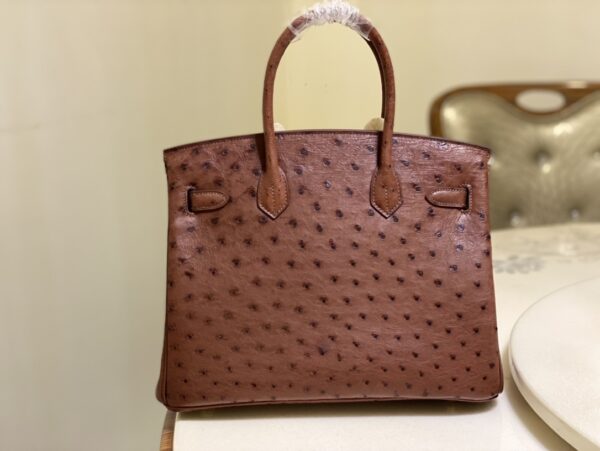 Hermes Ostrich Skin Hand Bag - Maroon - Image 3