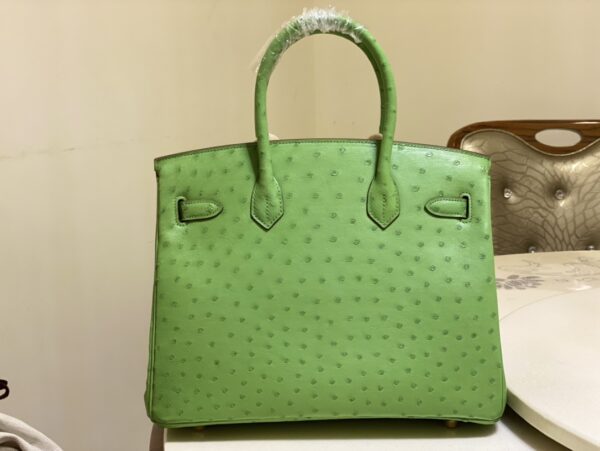 Hermes Ostrich Skin Hand Bag - Green - Image 3