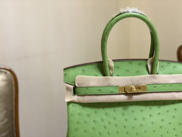 Hermes Ostrich Skin Hand Bag - Green - Image 5